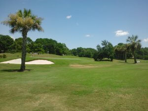 Amazing golf course Hilton Head Plantation